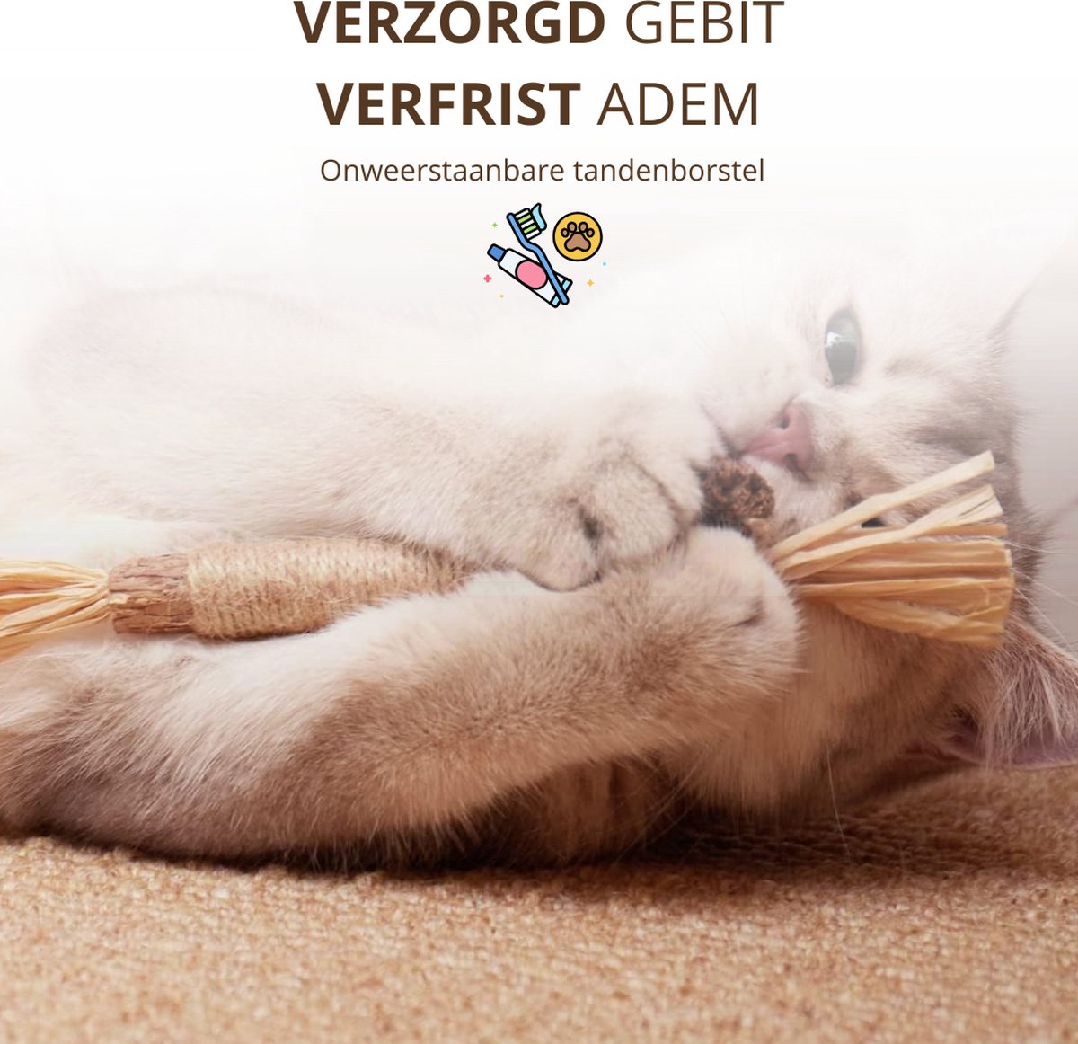 Twenty4seven® Matatabi Stokjes voor Katten - 5 Stuks - 100% Natuurlijk en Eetbaar Kattenspeelgoed - Catnip Effect voor Kat - Twenty4seven®
