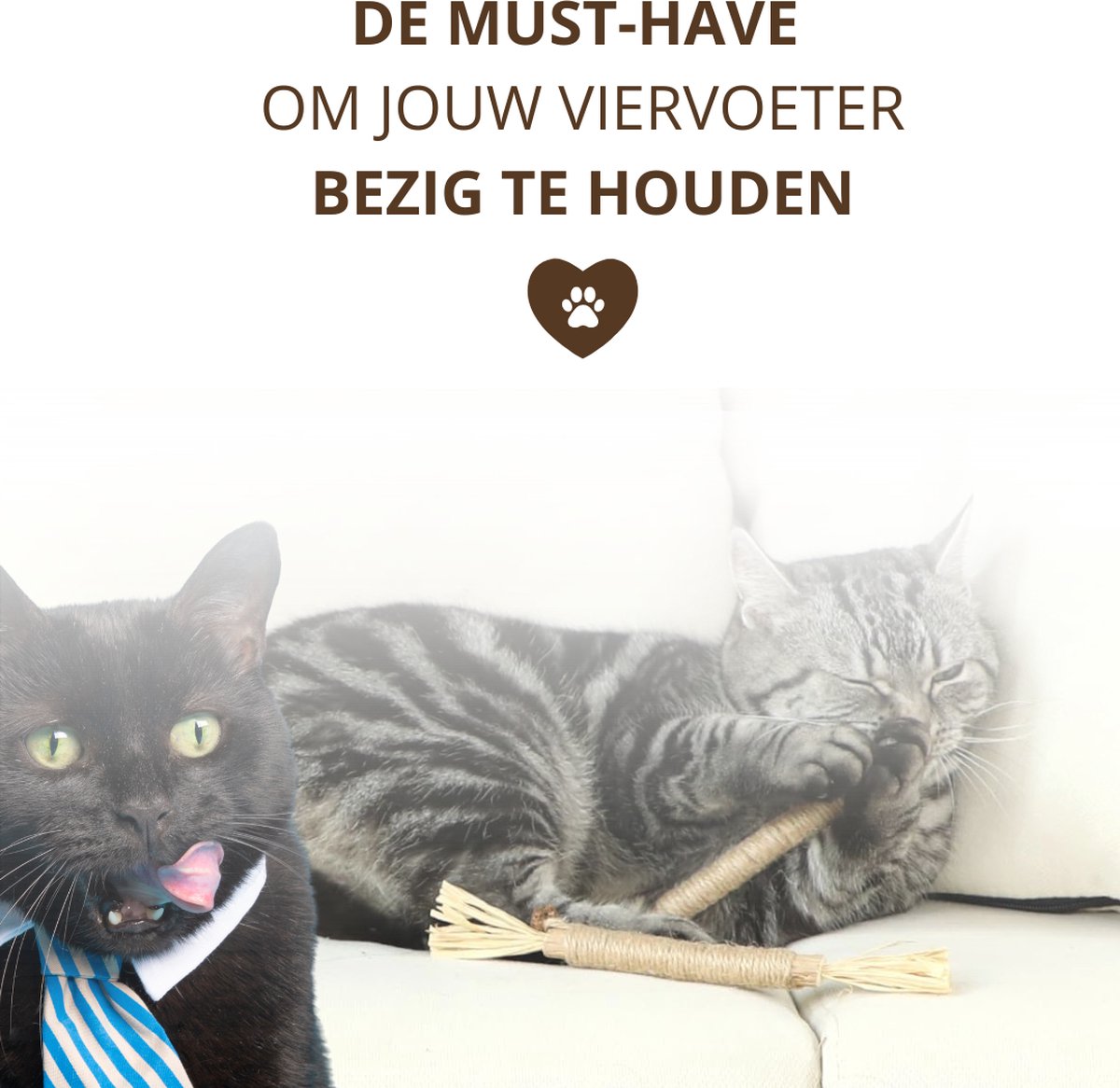 Twenty4seven® Matatabi Stokjes voor Katten - 5 Stuks - 100% Natuurlijk en Eetbaar Kattenspeelgoed - Catnip Effect voor Kat - Twenty4seven®