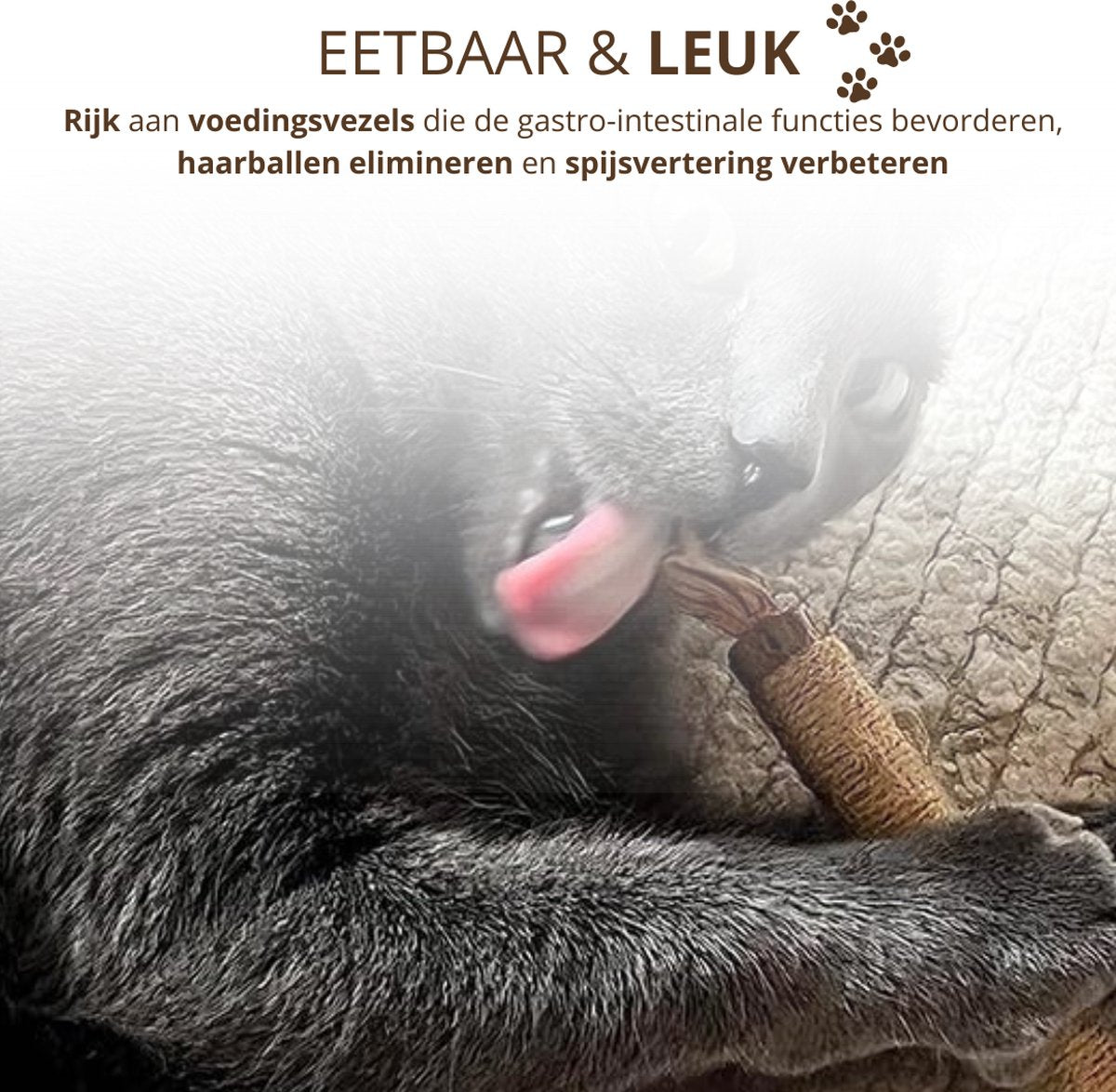 Twenty4seven® Matatabi Stokjes voor Katten - 5 Stuks - 100% Natuurlijk en Eetbaar Kattenspeelgoed - Catnip Effect voor Kat - Twenty4seven®