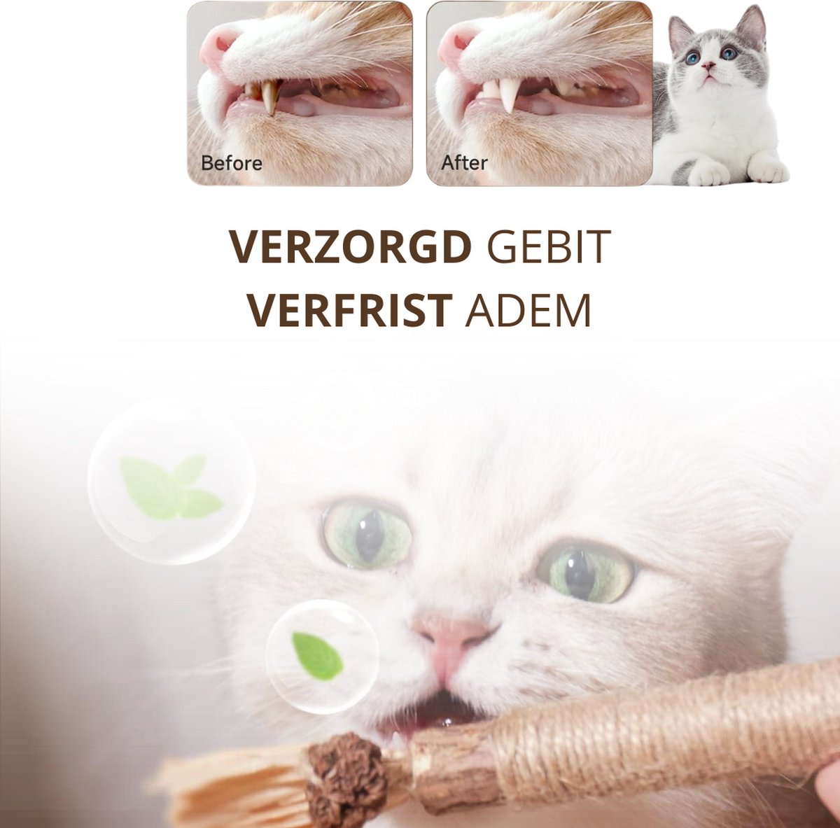 Twenty4seven® Matatabi Stokjes voor Katten - 5 Stuks - 100% Natuurlijk en Eetbaar Kattenspeelgoed - Catnip Effect voor Kat - Twenty4seven®